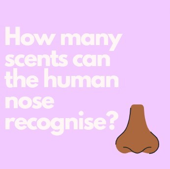 Purple background with white text reading "How many scents can the human nose recognise?" and an animated image of a nose. 