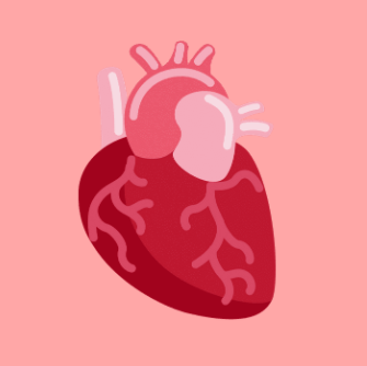 Circular picture with a light red background. Image in the centre of the heart organ. 