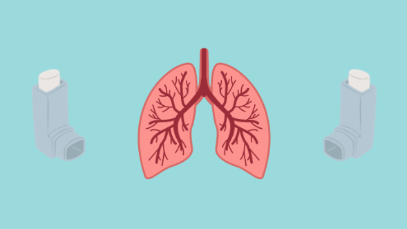 Light blue background. Animated image of a red and pink pair of lungs in the centre with a grey/blue asthma inhaler on either side. 