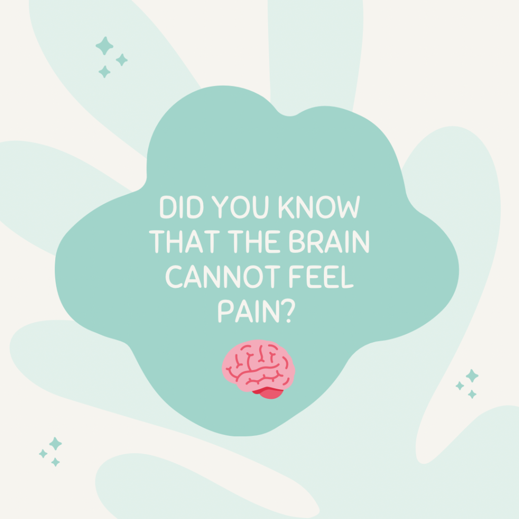 Cream background with light blue blob pattern. Blue-green wavy circle in centre with white text reading “did you know that the brain cannot feel pain?”. Light and dark pink animated image of a brain underneath text. 
