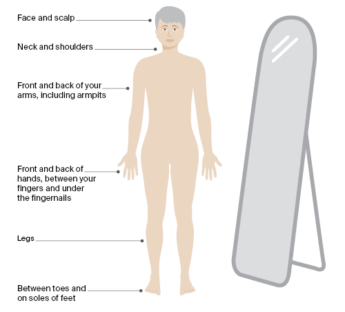 Square image showing a person standing on the left of a full length mirror. On the right of the person there are 6 blocks of text describing areas of your body to check for skin cancer. These read: face and scalp, neck and shoulders, front and back of your arms (including armpits), front and back of your hands, between your fingers and underneath your fingernails, legs, between toes and on soles of feet. 